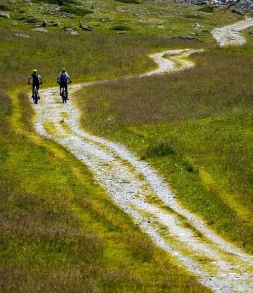 Actividades experienciales: