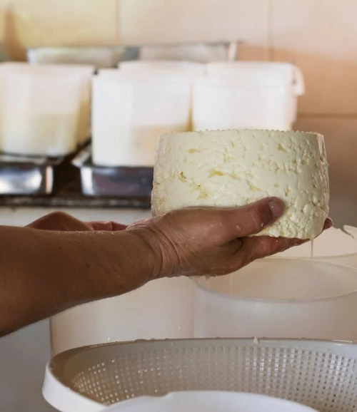 Actividades para todos: