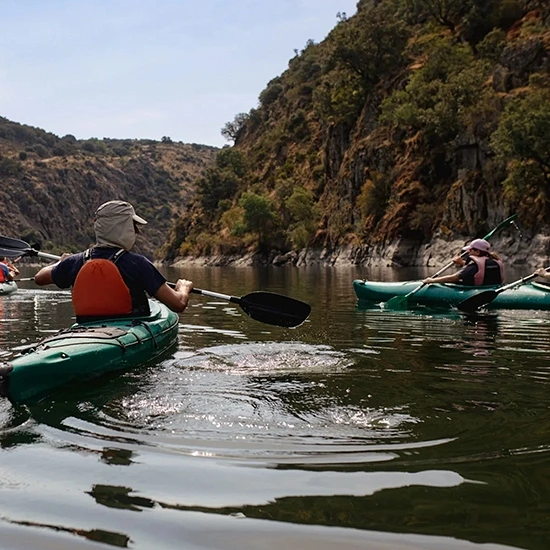 Experiencias Transfonterizas Experiencias Transfonterizas