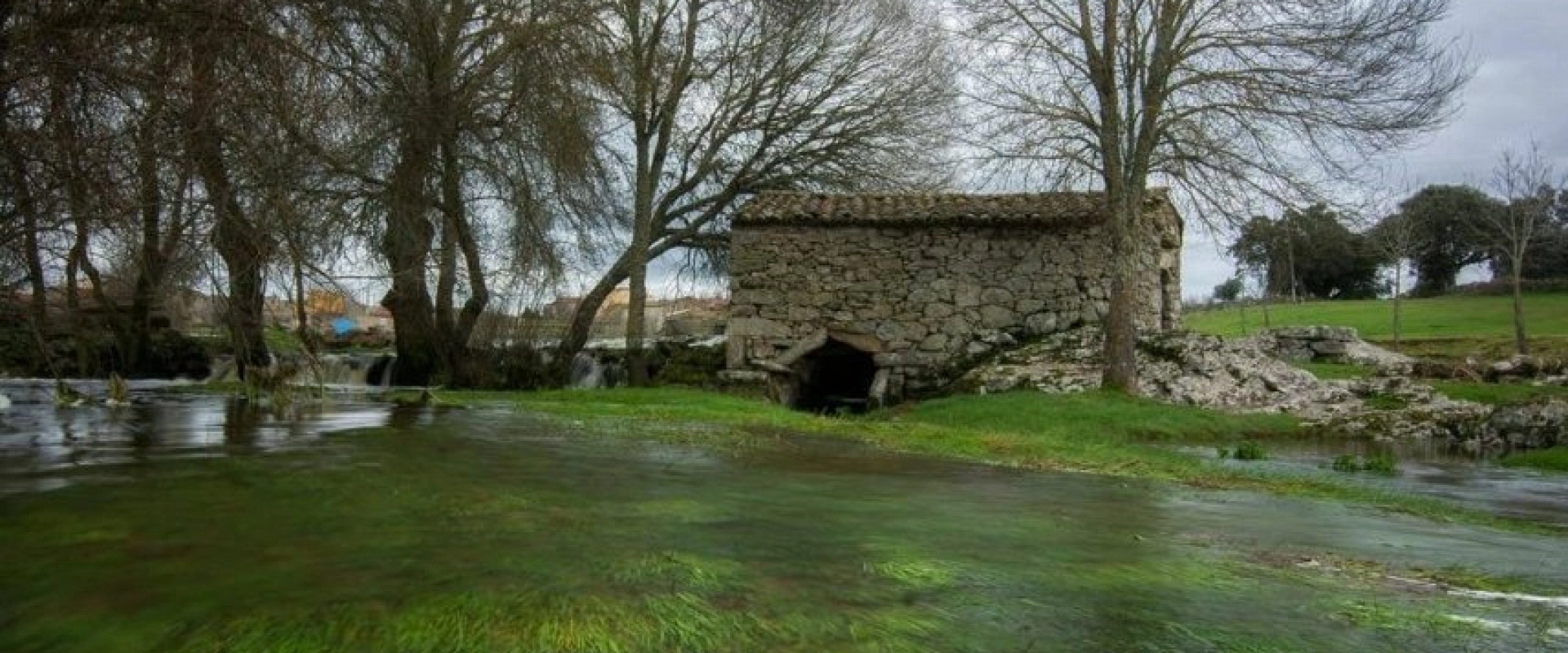 Galería de fotos Galería de fotos