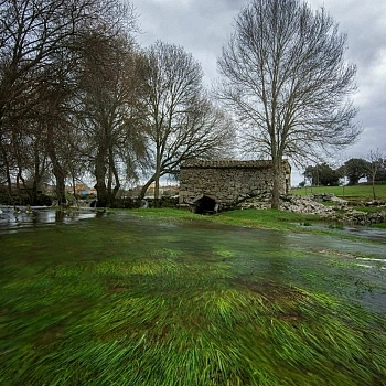 Galería de fotos Galería de fotos