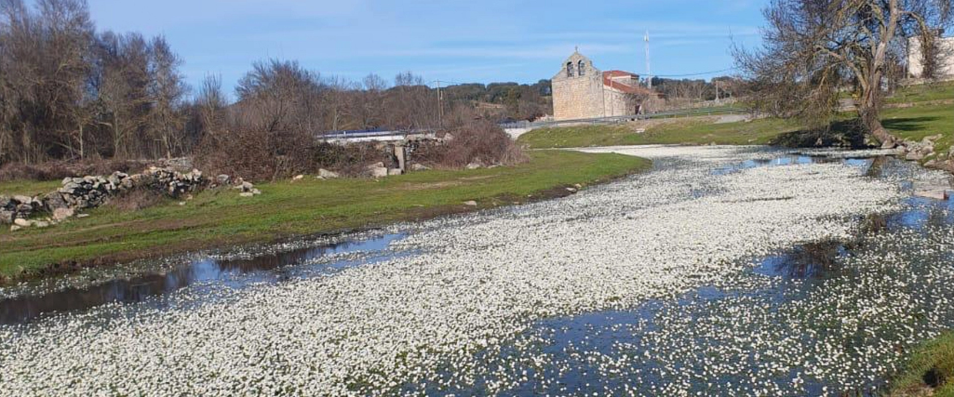 Galería de fotos Galería de fotos