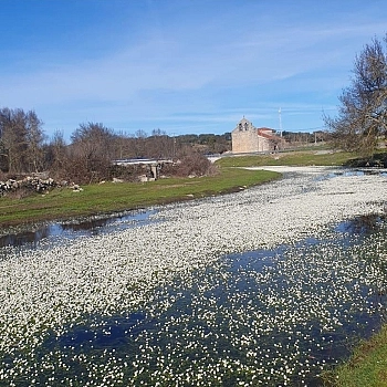 Galería de fotos Galería de fotos