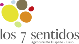 Los 7 Sentidos