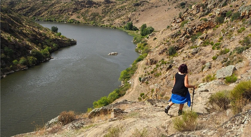 ¿Te parece bien agendar una reunión esta semana?